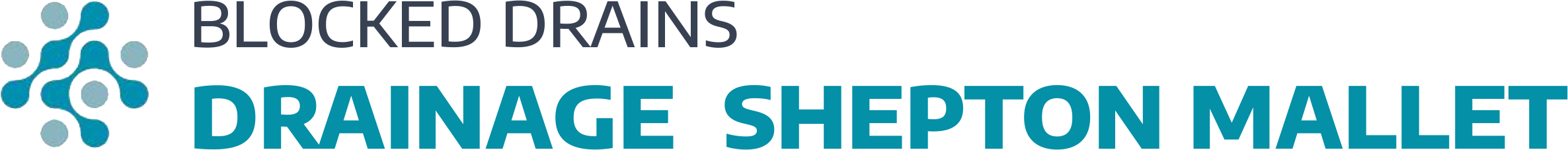 website logo